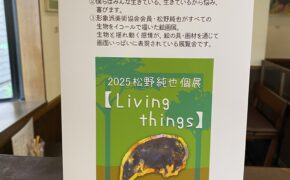 2025松野純也個展【Living things】