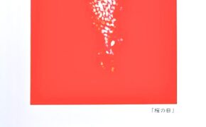 『仁宇暁子 サク・ラ – イノチシリーズⅥ – 展』開催